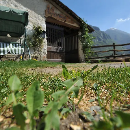 B&B Rocca Di Bajedo