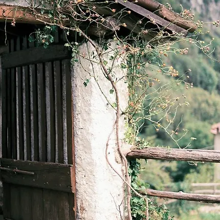 B&B Rocca Di Bajedo Pasturo