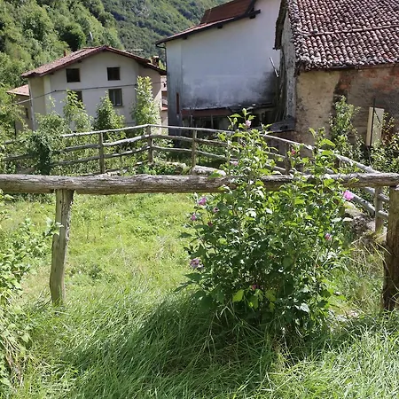 B&B Rocca Di Bajedo 3*